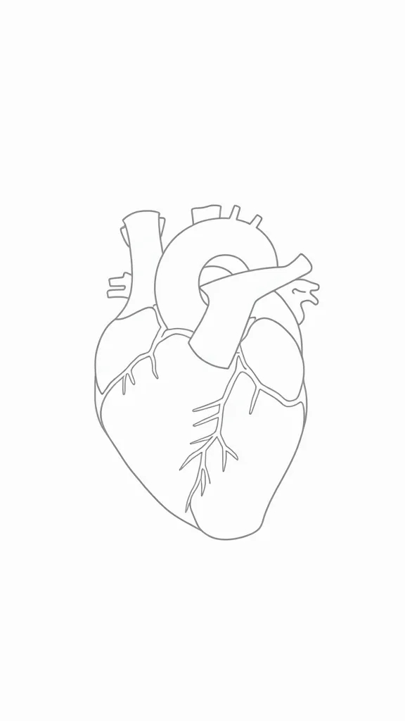 coloriages d’anatomie coeur imprimables